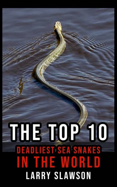 The Top 10 Deadliest Sea Snakes in the World
