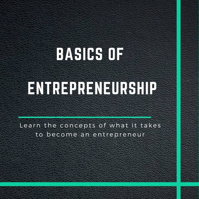 The Basics of Entrepreneurship: Learn the concepts of what it takes to become an entrepreneur