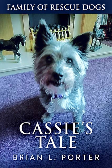 Cassie's Tale
