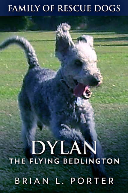 Dylan: The Flying Bedlington