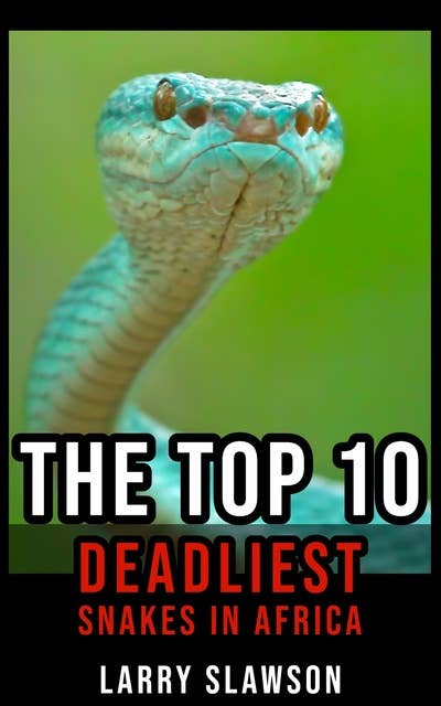 The Top 10 Deadliest Snakes in Africa