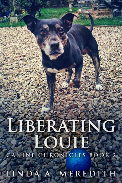 Liberating Louie
