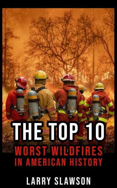 The Top 10 Worst Wildfires in American History