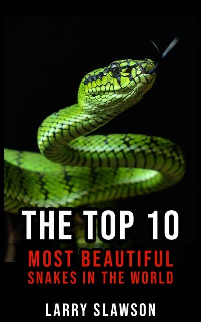 The Top 10 Most Beautiful Snakes in the World