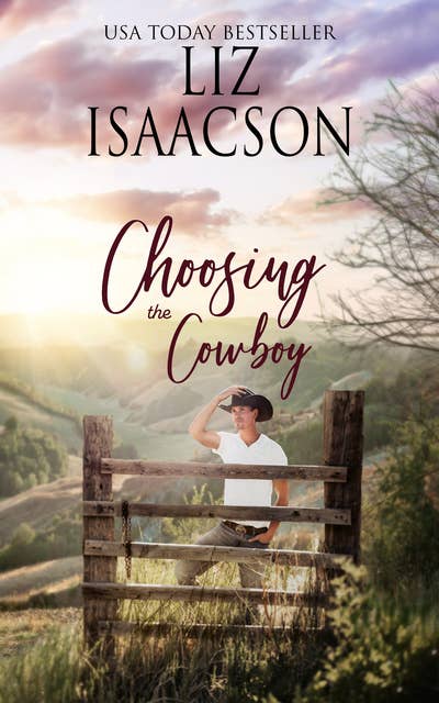 Choosing the Cowboy: Christian Contemporary Romance