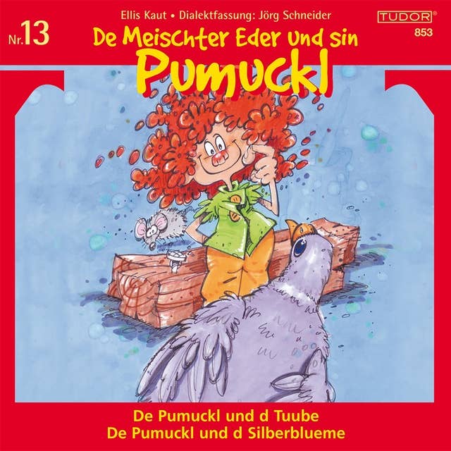 De Meischter Eder und sin Pumuckl, Nr. 13: De Pumuckl und d Tuube / De Pumuckl und d Silberblueme