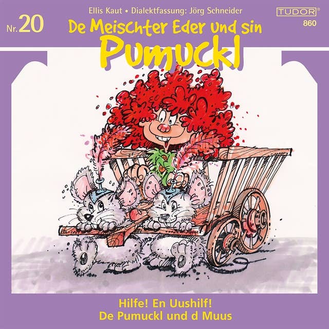 De Meischter Eder und sin Pumuckl, Nr. 20: Hilfe! En Uushilf! / Pumuckl und d Muus