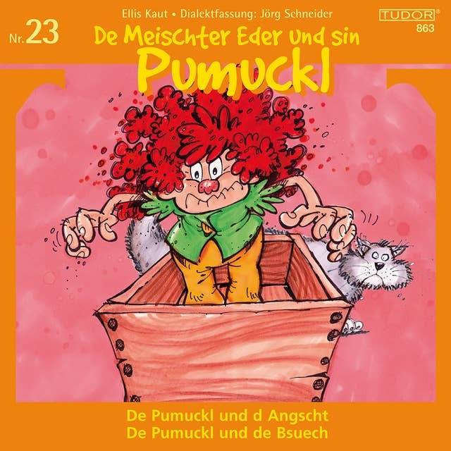 De Meischter Eder und sin Pumuckl, Nr. 23: De Pumuckl und d Angscht / De Pumuckl und de Bsuech