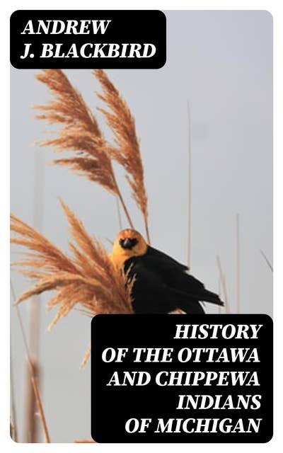 History of the Ottawa and Chippewa Indians of Michigan: A Grammar of Their Language, and Personal and Family History of the Author