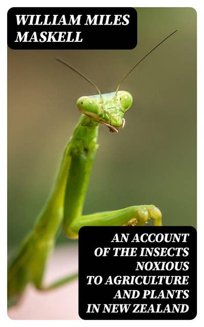 An Account of the Insects Noxious to Agriculture and Plants in New Zealand: The Scale Insects (Coccididae)