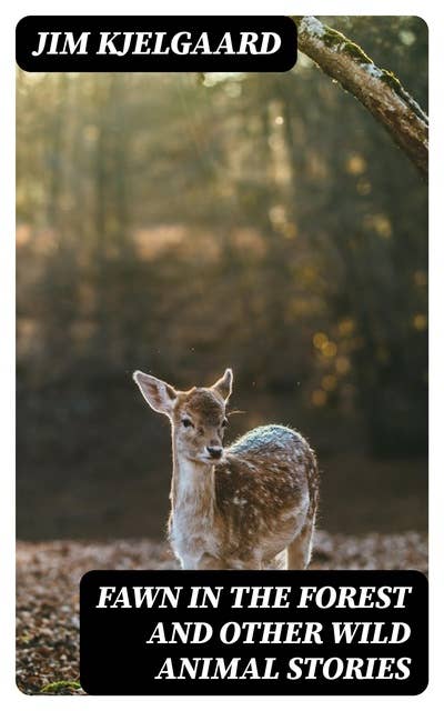 Fawn in the Forest and Other Wild Animal Stories