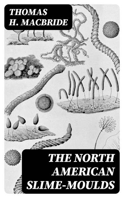 The North American Slime-Moulds: A Descriptive List of All Species of Myxomycetes Hitherto Reported from the Continent of North America, with Notes on Some Extra-Limital Species