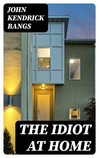 The Idiot at Home