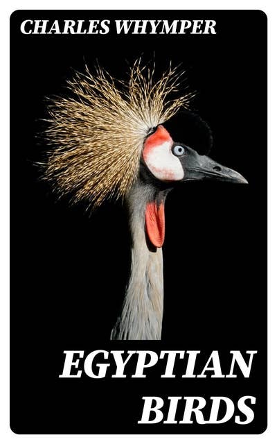 Egyptian Birds: For the most part seen in the Nile Valley