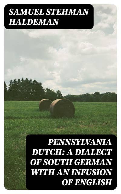 Pennsylvania Dutch: A Dialect of South German With an Infusion of English