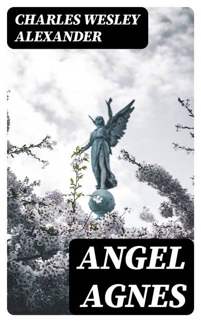Angel Agnes: The Heroine of the Yellow Fever Plague in Shreveport