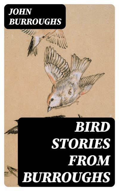 Bird Stories from Burroughs: Sketches of Bird Life Taken from the Works of John Burroughs