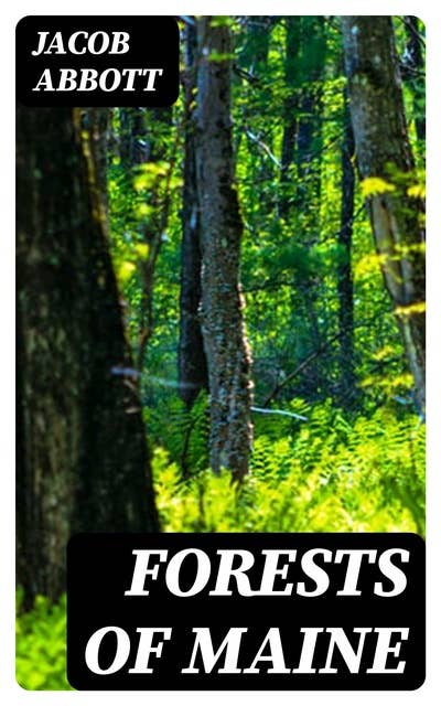 Forests of Maine: Marco Paul's Adventures in Pursuit of Knowledge