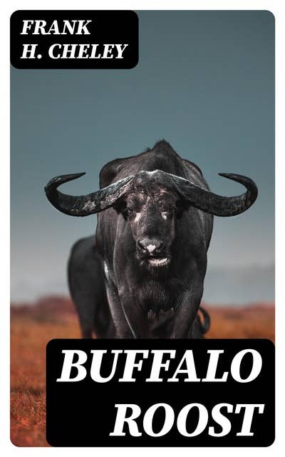 Buffalo Roost: A Story of a Young Men's Christian Association Boys' Department