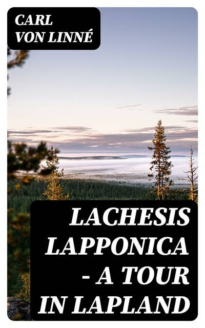 Lachesis Lapponica - A Tour in Lapland