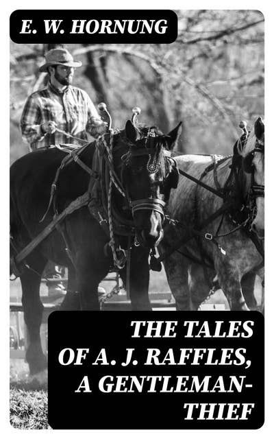 The Tales of A. J. Raffles, A Gentleman-Thief