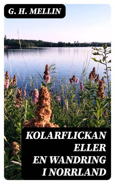 Kolarflickan eller En Wandring i Norrland: Novell