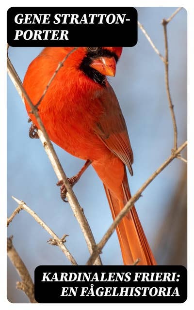 Kardinalens frieri: En fågelhistoria