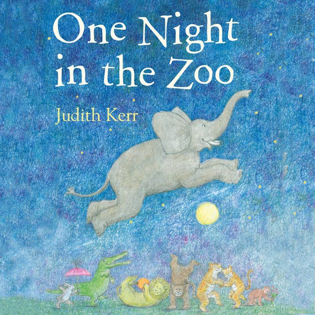 Cover for One Night In the Zoo