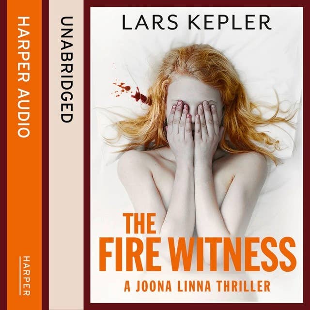 Cover for The Fire Witness