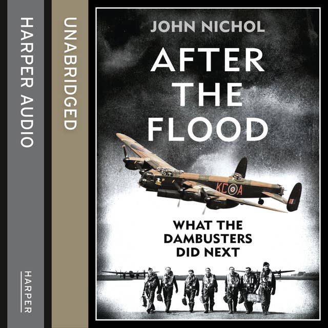 After the Flood: What the Dambusters Did Next