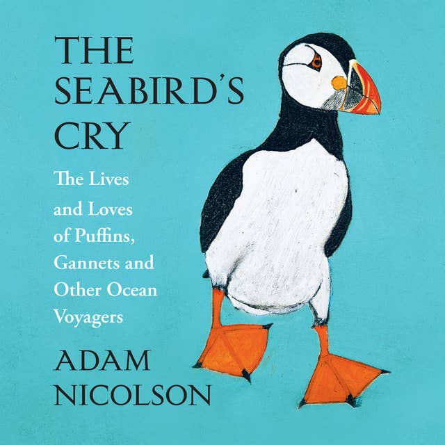 The Seabird’s Cry
