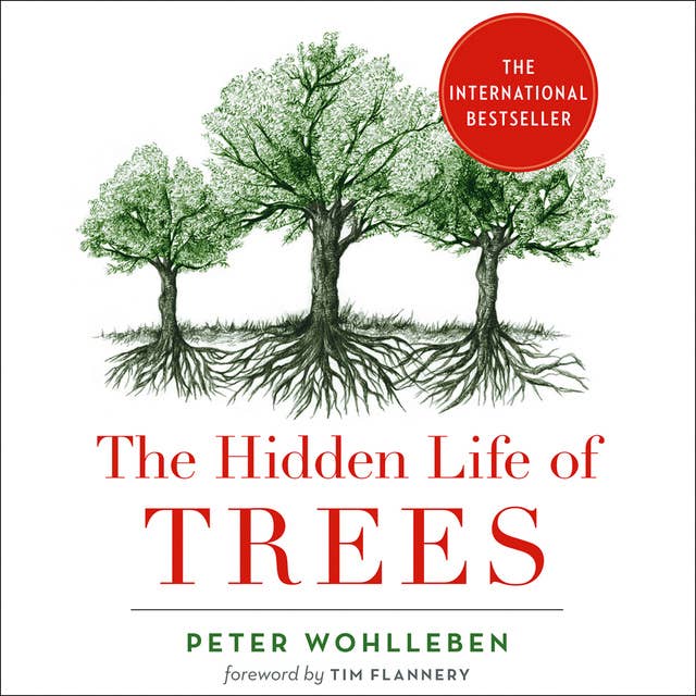 Cover for The Hidden Life of Trees: What They Feel, How They Communicate
