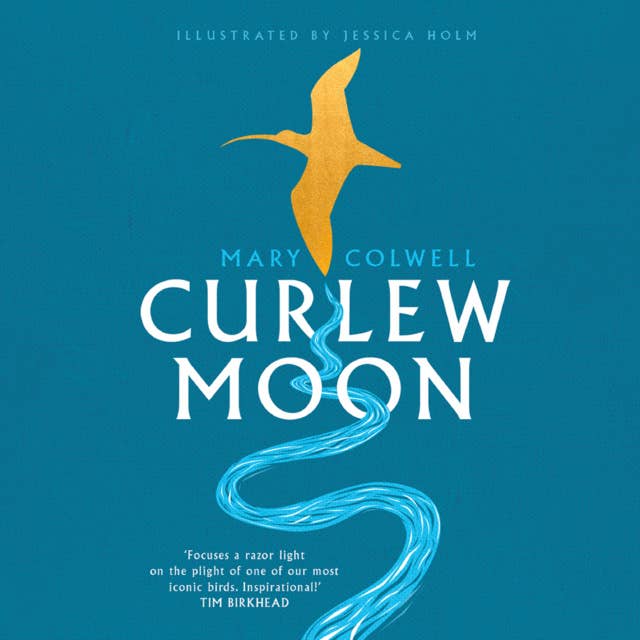 Curlew Moon