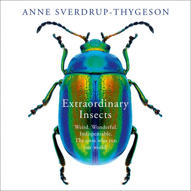 Cover for Extraordinary Insects: Weird. Wonderful. Indispensable. The ones who run our world.