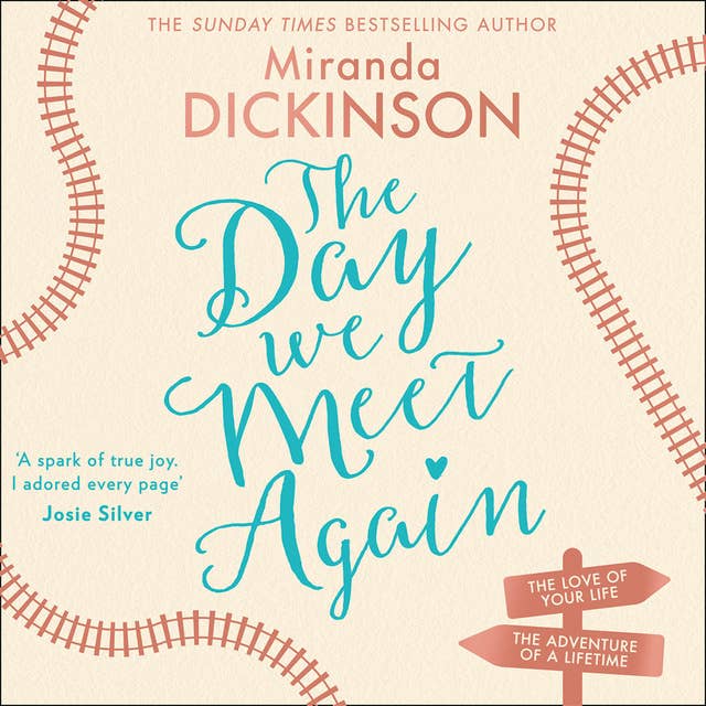 Cover for The Day We Meet Again