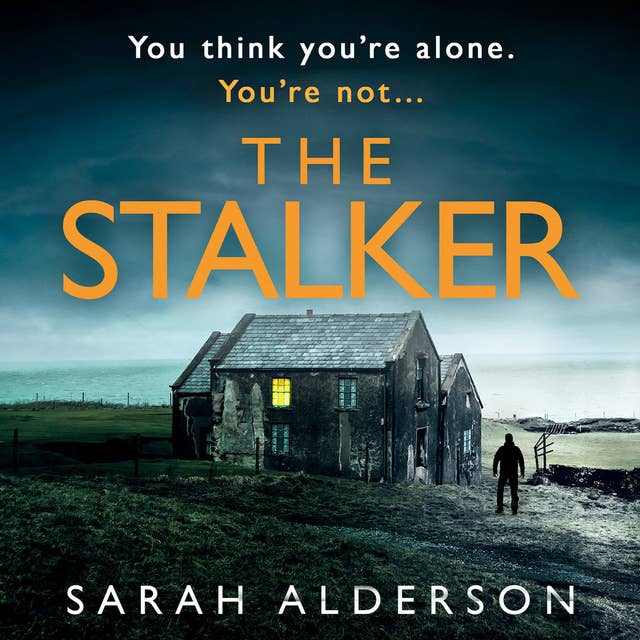 Cover for The Stalker