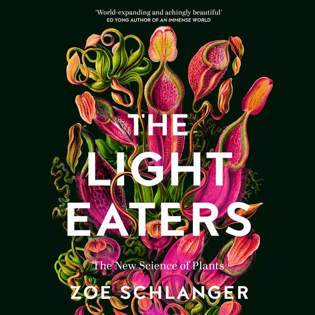 The Light Eaters: The New Science of Plant Intelligence