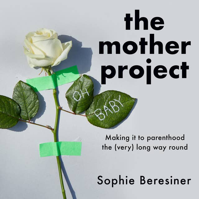 Cover for The Mother Project: Making it to parenthood the (very) long way round