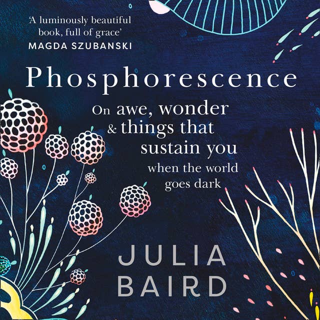 Cover for Phosphorescence: On awe, wonder & things that sustain you when the world goes dark