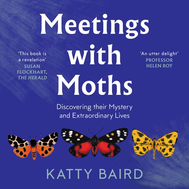 Meetings with Moths: Discovering their Mystery and Extraordinary Lives