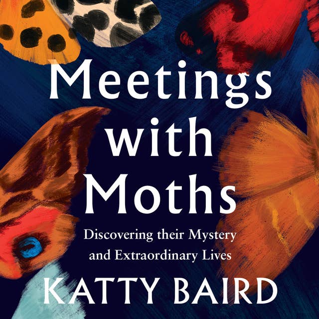 Meetings with Moths: Discovering their Mystery and Extraordinary Lives