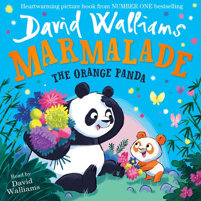 Boogie Bear by David Walliams  Books Read Aloud for Children