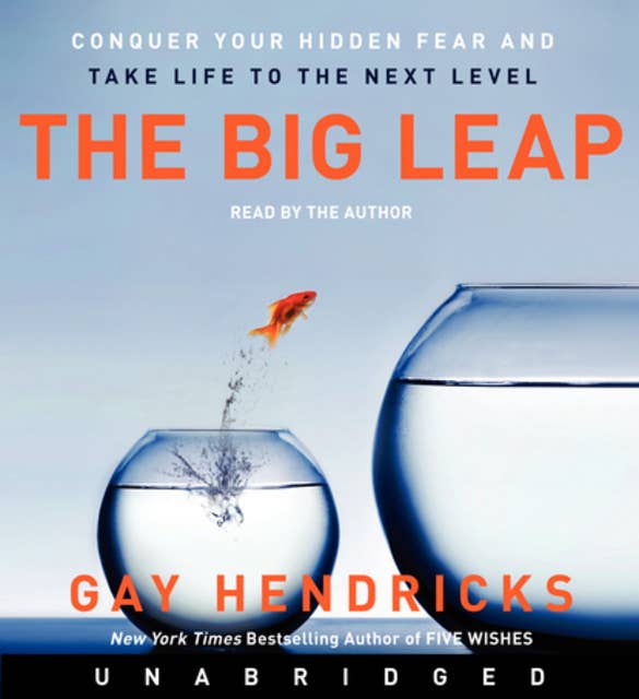 Cover for The Big Leap