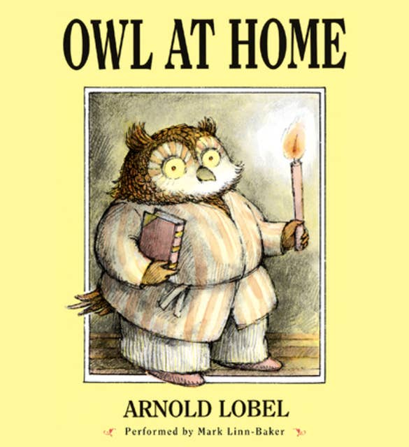Owl at Home