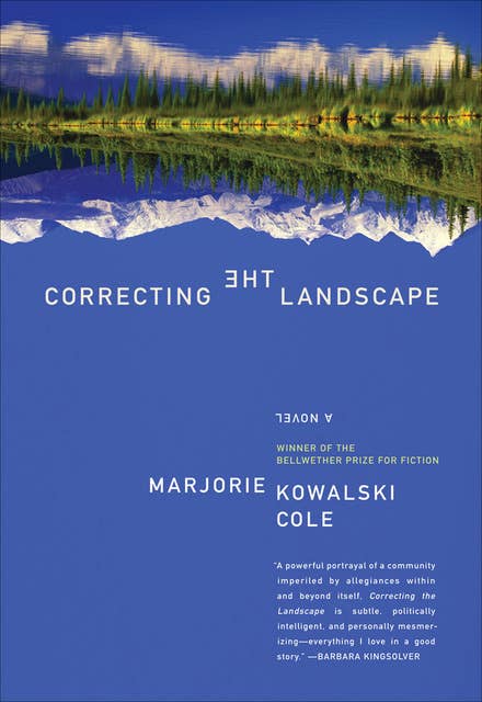 Correcting the Landscape: A Novel