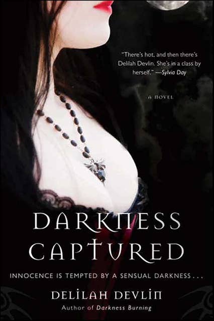 Darkness Captured: A Novel