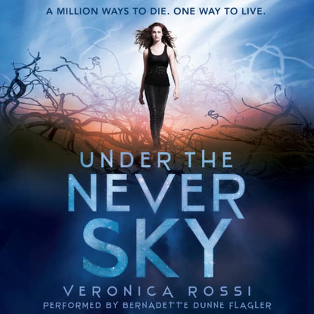 Cover for Under the Never Sky