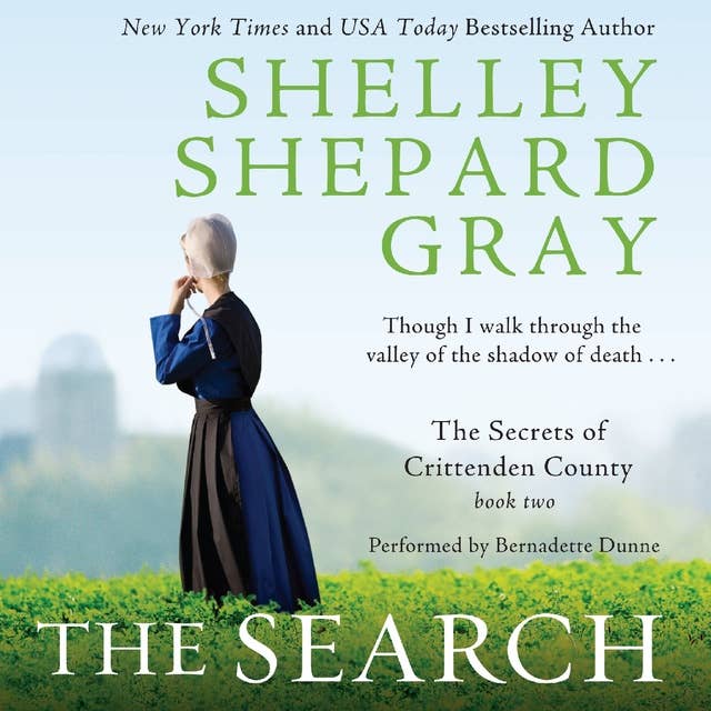 The Search: The Secrets of Crittenden County, Book Two
