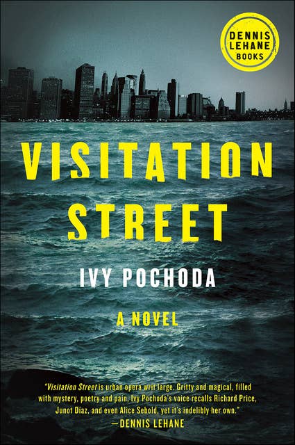 Visitation Street: A Novel