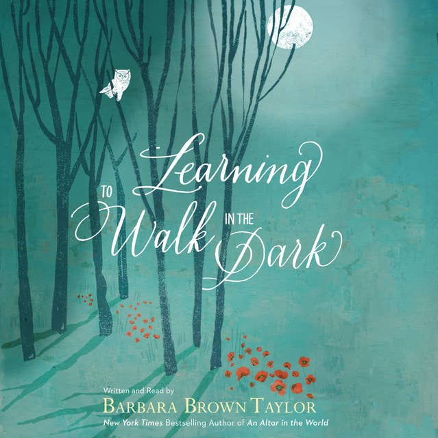 Learning to Walk in the Dark: Because Sometimes God Shows Up at Night